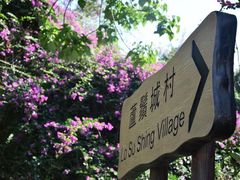 -南丫岛
