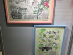 -上海昆虫博物馆