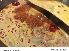 -朱光玉火锅馆(正弘城店)