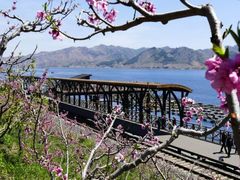 -河口景区