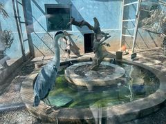 -青藏高原野生动物园