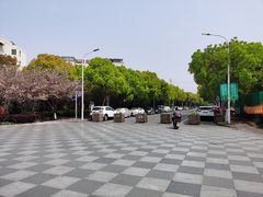 -高东镇樱花园