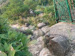 -白马涧龙池景区