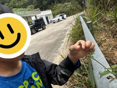-海南热带雨林国家公园吊罗山景区
