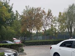 -绿堤公园