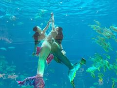 -三亚海昌梦幻海洋不夜城