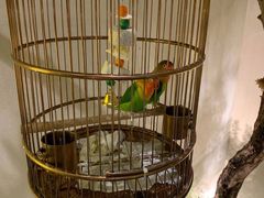 -小厨娘淮扬菜(六合欢乐港店)