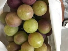 -马陆小张葡萄园农家乐