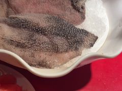 -二荆条·蜀鲜汇城市森林火锅