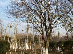 -济南国际园博园