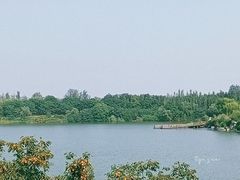 -西安浐灞国家湿地公园