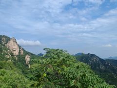 -大岭沟猕猴桃谷风景区