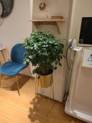 -LJOY丽锦造型·烫发染发