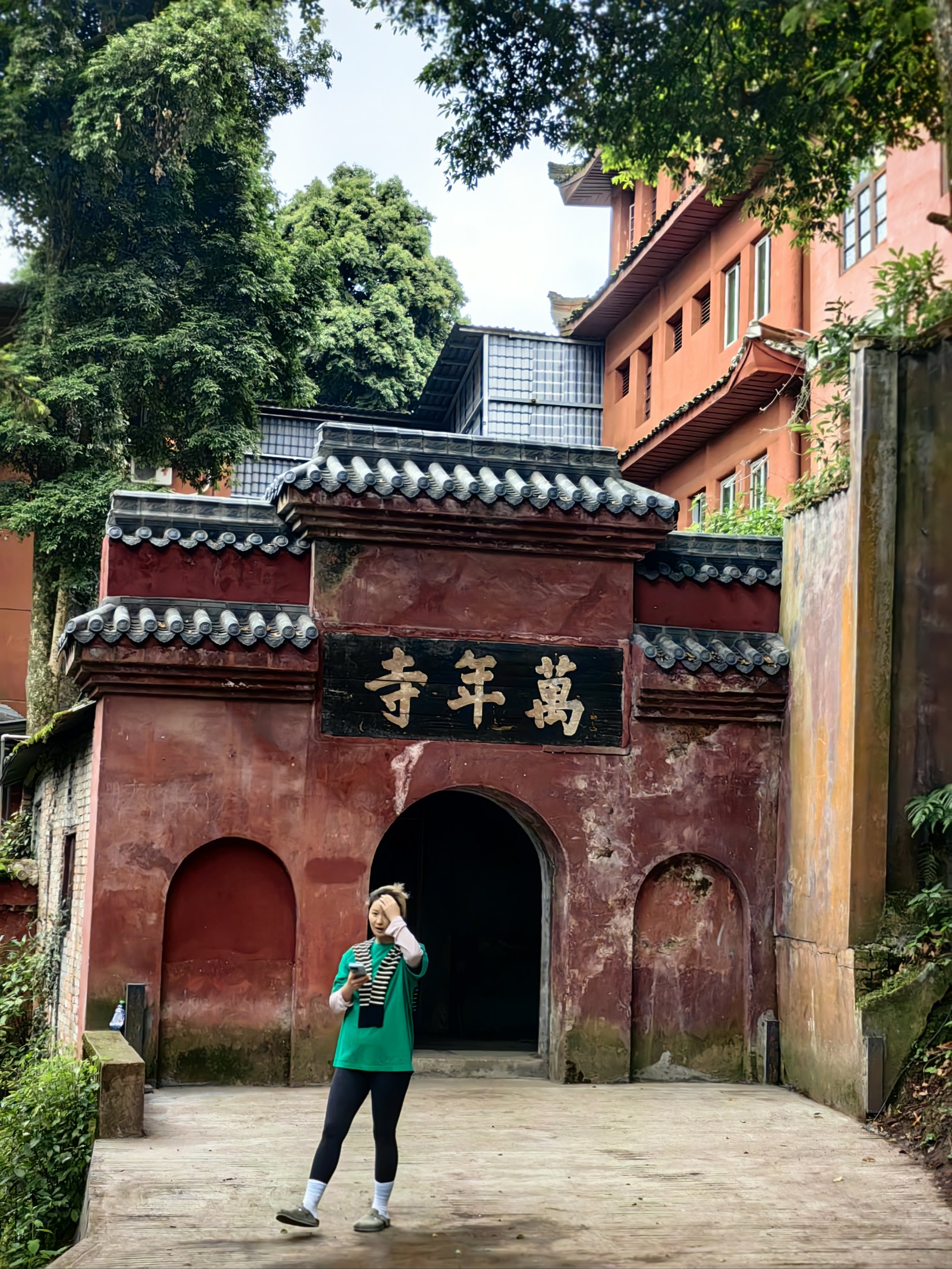 峨眉山万年寺门票图片