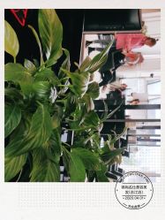 -锦尚名仕美容美发