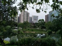 -四海公园(南山区)