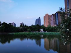 -黄兴公园