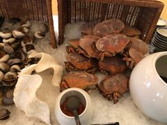 -北京王府井希尔顿酒店·万斯阁西餐厅