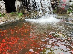 -红螺寺