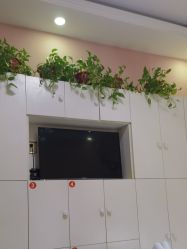 -香薇妮丝·定制减肥·身材管理