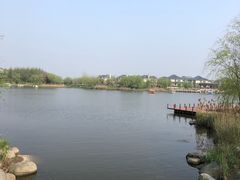 -杭州湾海上花田景区