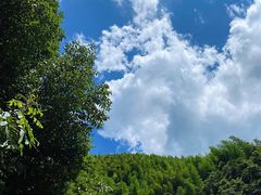 -将军关探险漂流