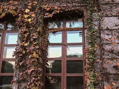 -半岛1919创意园区