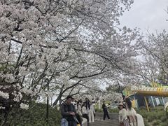 -杭州少年儿童公园