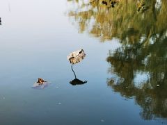 -颐和园