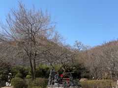 -石老人观光园