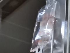 -天津医科大学第二医院