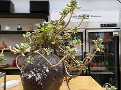 -三圣花乡旅游区