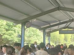 -将军关探险漂流