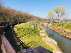 -羊山湖公园