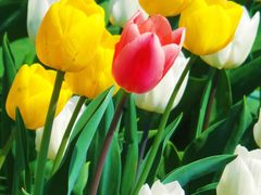 -北京植物园-展览温室