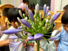 -北科婴幼学苑