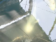 -蓝湾碧波·老字号·疍家非遗海上餐厅