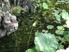 -浙江西子宾馆·牡丹厅