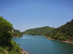 -四明山国家森林公园