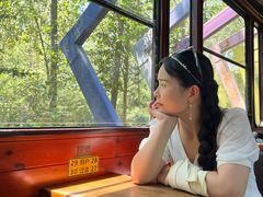 -合肥滨湖国家森林公园