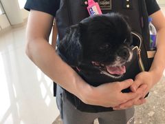 -香港ELEMENTS圆方