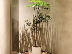 -二酉书店TOYOU BOOKS