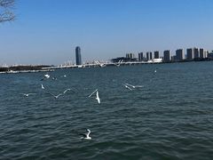 -无锡蠡湖国家湿地公园-蠡园