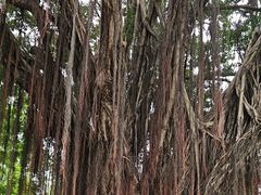 -金砂公园