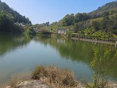 -广州市石门国家森林公园