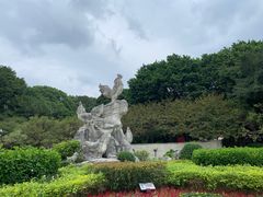 -金鸡山公园