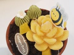 -哈根达斯(上海金山店)