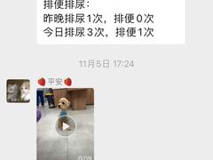 -北京派仕佳德动物医院·超导核磁·CT·神经科·骨科·内外科·急重症管理中心