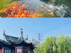 -豫园