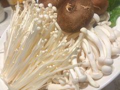 -九府羊·鲜羊火锅·烤串(新华路店)